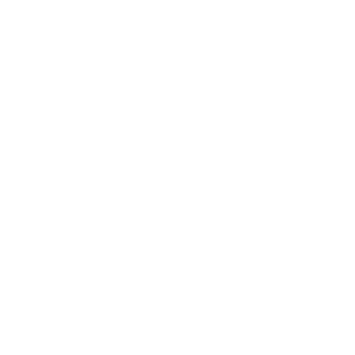 AceiiLab